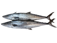 Arabind Fresh Buy Fresh Fish Meat Poultry Fruits Vegetables Online In Dubai Sharjah And Abu Dhabi